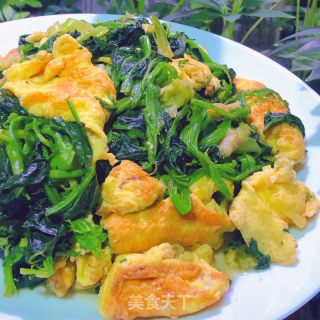 菠菜炒鸡蛋的做法步调：10