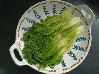 蚝油死菜的做法步调：5