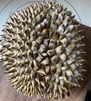 榴莲蛋挞的做法步调：2