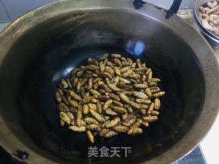 炒蚕蛹的做法步调：3