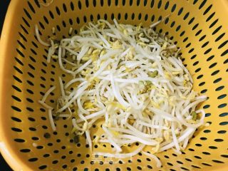 鸡蛋绿芽菜炒饼的做法步调：3
