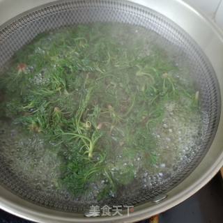 茵陈齐麦馒头的做法步调：4