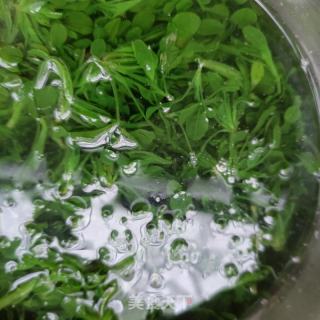花死拌鸡肠草的做法步调：4