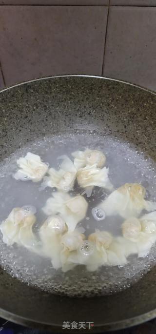 乌木耳陈肉云吞的做法步调：8