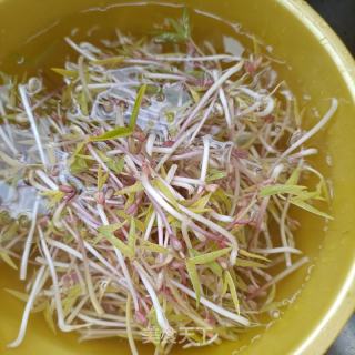 韭菜鸡蛋炒芽菜的做法步调：3
