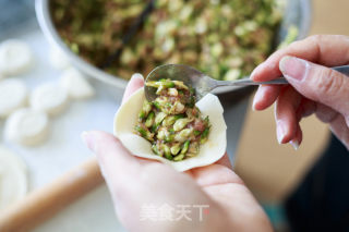 槐花猪肉馅火饺的做法步调：6