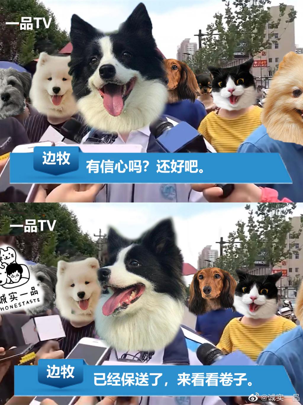 HqVubQc36cgeBGke.jpg