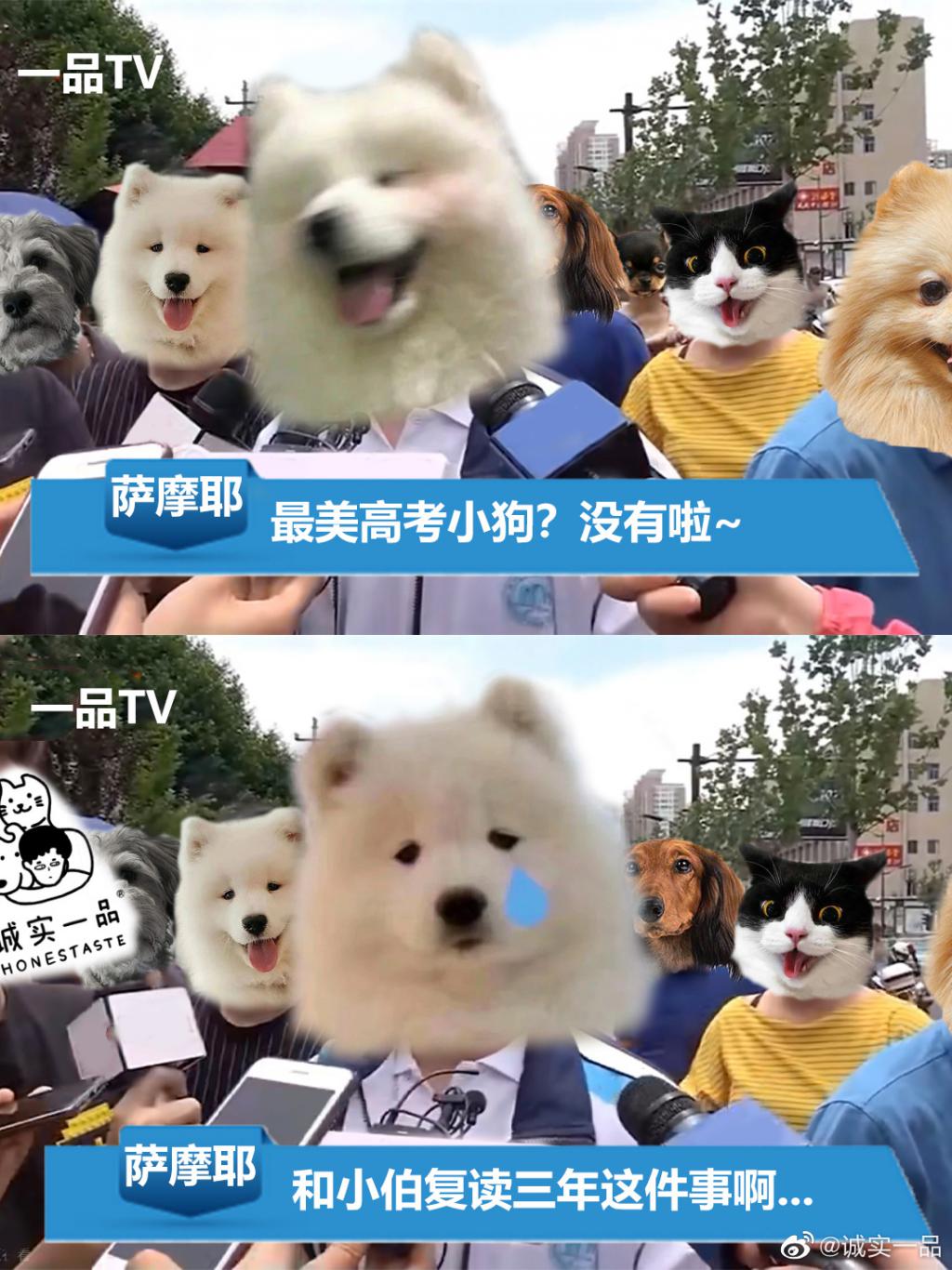 fk0j1NfN5sj14Kc1.jpg