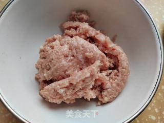 蒲瓜肉馅煎饺的做法步调：3