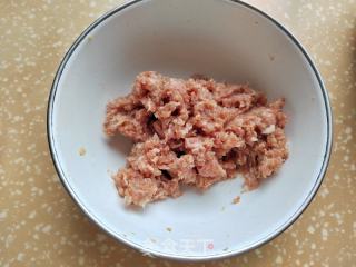 蒲瓜肉馅煎饺的做法步调：4