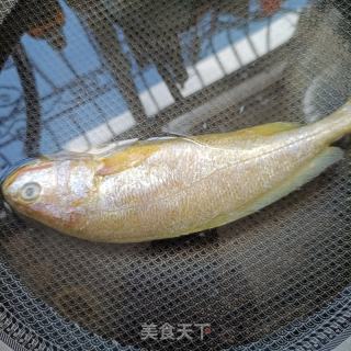 喷鼻煎年夜黄花的做法步调：1