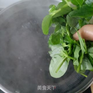 鸭跖草拌虾仁的做法步调：2