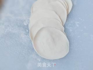 陈肉火饺的做法步调：4