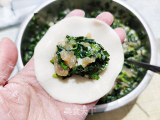 韭菜猪肉饺子的做法步调：6