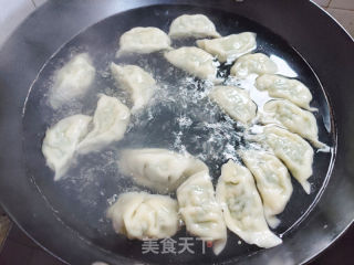 韭菜猪肉饺子的做法步调：9