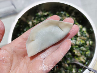 韭菜猪肉饺子的做法步调：7