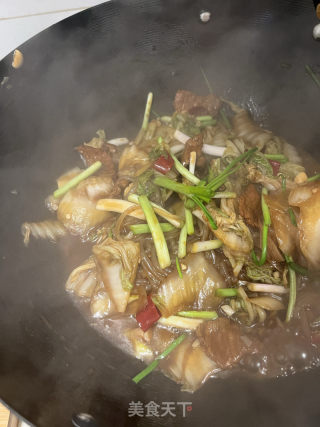 低卡猪肉利剑菜炖粉条的做法步调：10