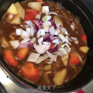 咖喱牛肉炖土豆的做法步调：9