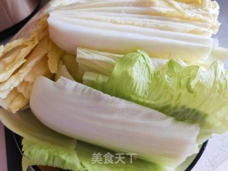 猪肉虾仁利剑菜饺子的做法步调：4