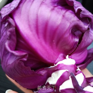 紫苦蓝拌鸽胸肉的做法步调：1