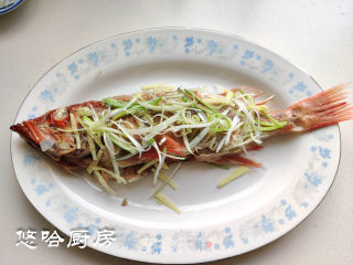 浑蒸白鱼的做法步调：4