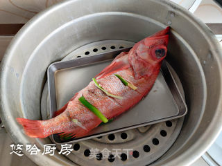 浑蒸白鱼的做法步调：3