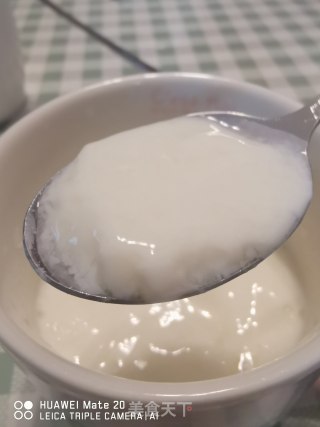 姜碰奶的做法步调：8