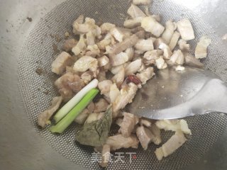 明白菜猪肉炖粉条的做法步调：4