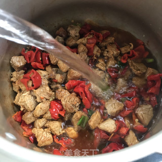 辣皮子炖牛肉的做法步调：9