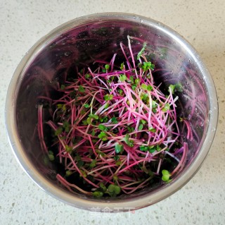 凉拌萝卜苗的做法步调：1