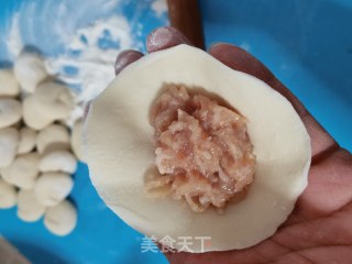 萝卜猪肉蒸饺的做法步调：20