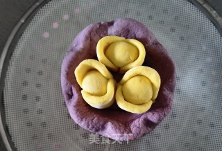 散宝盆的做法步调：9