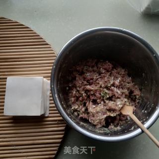 裙带菜肉馄饨的做法步调：7