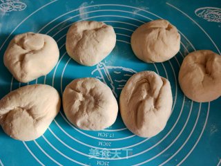 纯粮馒头的做法步调：5