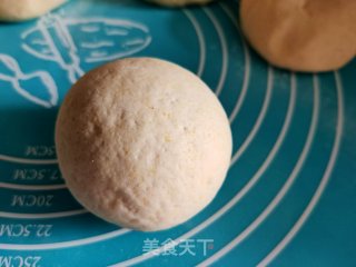纯粮馒头的做法步调：6