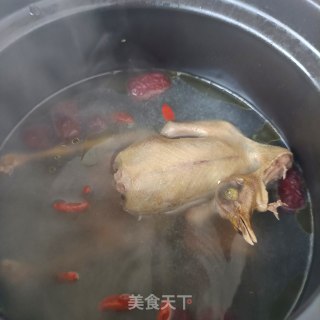 天麻鸽子汤的做法步调：10