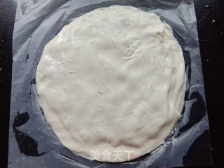 喷鼻葱猪肉饼的做法步调：4