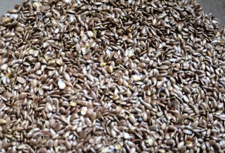 便宜胡麻盐女的做法步调：4