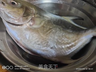 白烧鲳鱼的做法步调：1