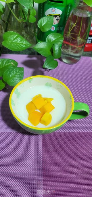 芒果单皮奶冻的做法步调：7