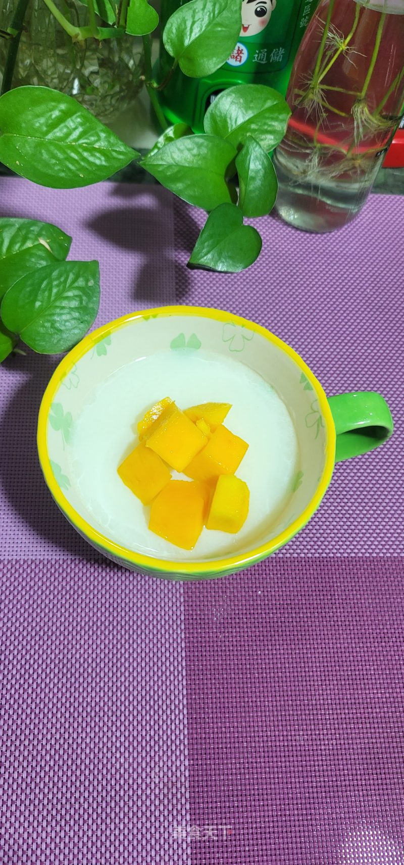 芒果单皮奶冻的做法