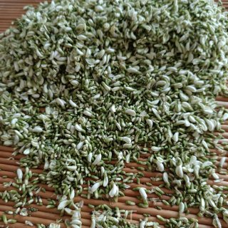 白糖槐花茶的做法步调：5