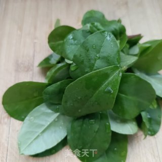 人参苗鲍鱼粥的做法步调：5