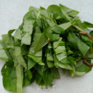 人参苗鲍鱼粥的做法步调：6