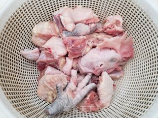 喷鼻菇炖青足鸡的做法步调：6