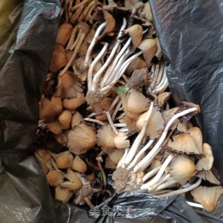 柳树菇蛋汤的做法步调：1