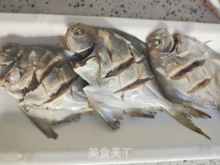 浑蒸鲳鱼的做法步调：8