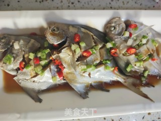 浑蒸鲳鱼的做法步调：9