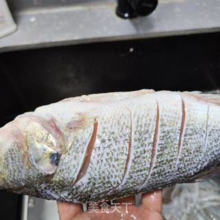 鲈鱼炖豆腐的做法步调：3