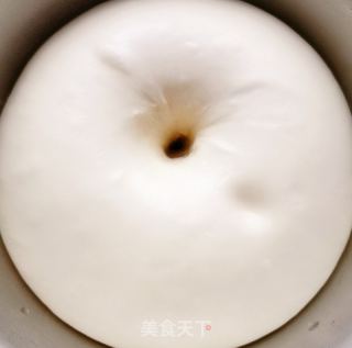 马齿笕猪肉包的做法步调：18